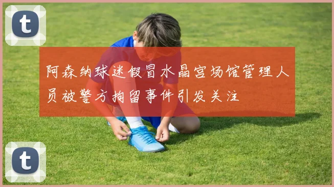 阿森纳球迷假冒水晶宫场馆管理人员被警方拘留事件引发关注