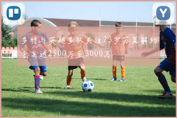 多特与英超多队关注23岁苏莱解约金高达2500万至3000万